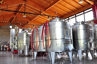 Visita alla cantina con degustazione di vini e prodotti tipici emiliani presso Tenuta di Aljano in provincia di Reggio Emilia