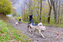 Elevage canin du clos de la vallée blanche