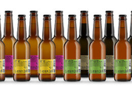 CERVEZAS ARRIACA