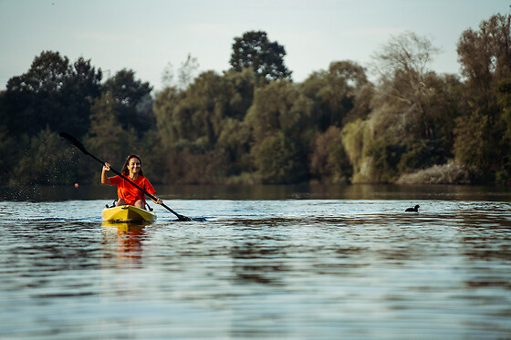 Dobber - photo 11