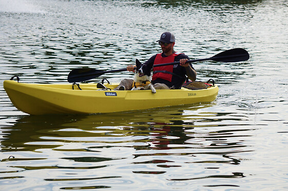 Dobber - photo 1