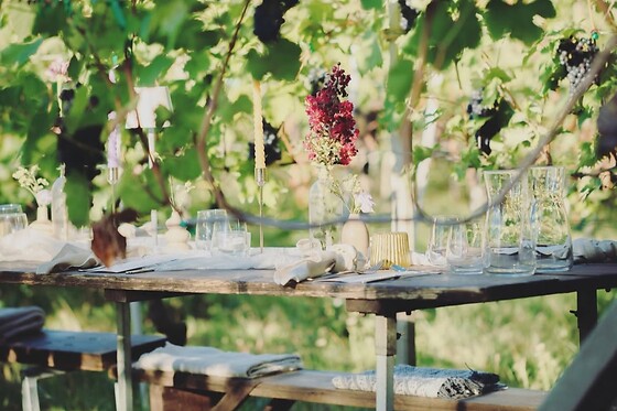 La Bandina Traditional Wines - photo 0