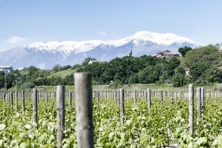 Soggiorno enogastronomico di una notte con visita e degustazione presso Agriturismo De Luca in provincia di Chieti
