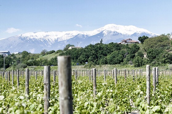 Soggiorno enogastronomico di una notte con visita e degustazione presso Agriturismo De Luca in provincia di Chieti