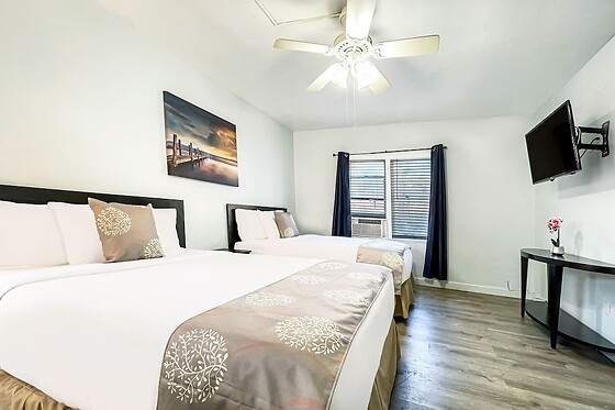 Online Booking EPS - photo 2
