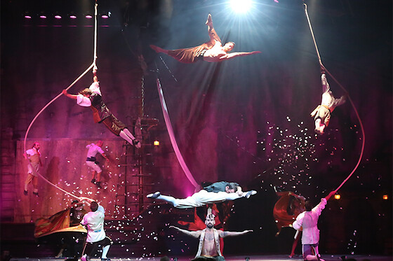 GLOBO BALEAR - photo 12