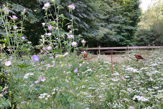Les Naturelles Insolites - photo 8