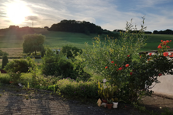 Le Domaine des Prés - photo 3