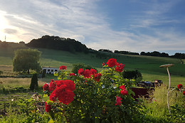 Le Domaine des Prés