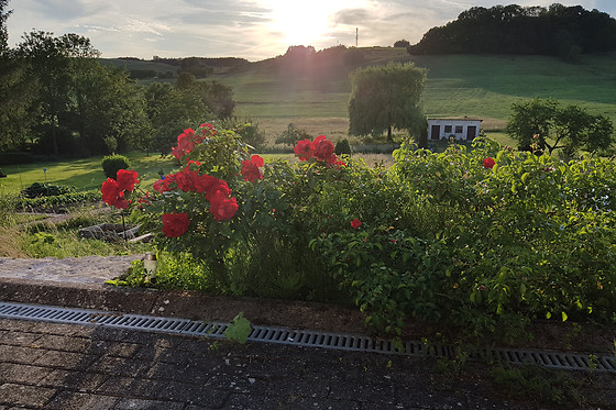Le Domaine des Prés - photo 10