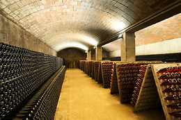 CELLER VELL - CAVATREN H0