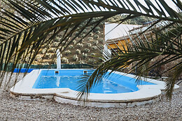 EXPERIENCE ALPACAS IN ANDALUCÍA