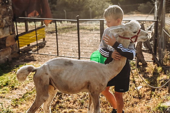 EXPERIENCE ALPACAS IN ANDALUCÍA - photo 11