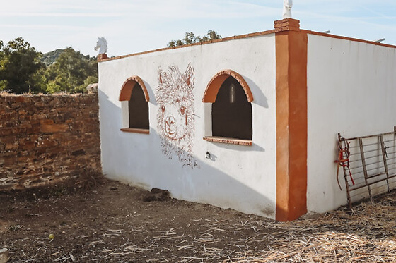 EXPERIENCE ALPACAS IN ANDALUCÍA - photo 2