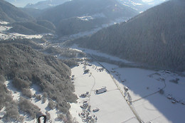Les Volatiles