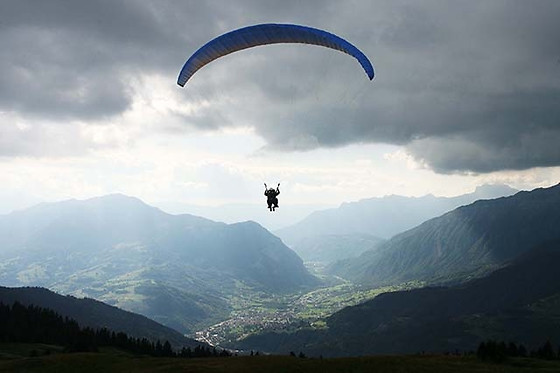 Les Volatiles - photo 11