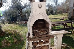 the Wishing Well