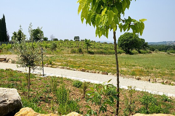 VioVillas Agriturismo Glamping - photo 6