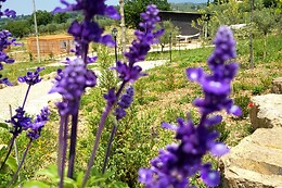 VioVillas Agriturismo Glamping