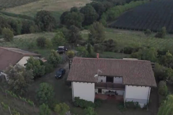 Cardea Vini - photo 0