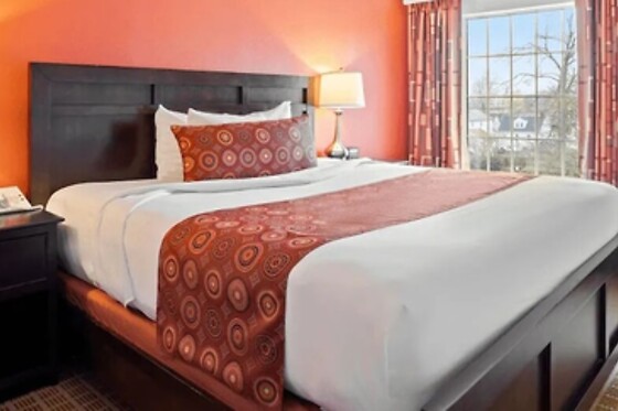 Online Booking EPS - photo 2