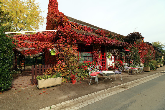 Auberge la Forge - photo 4