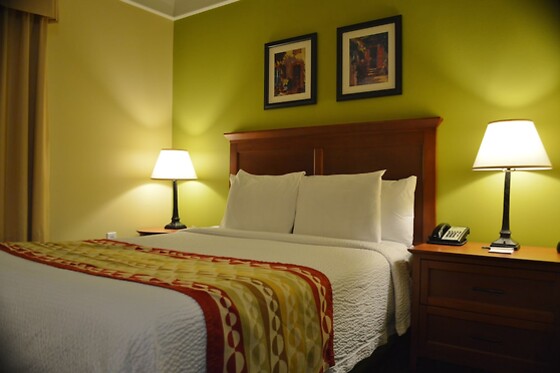 Online Booking EPS - photo 1