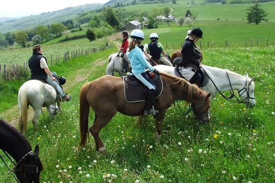 Ferme Equestre Des Ribières - photo 0