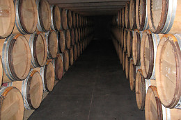 Chateau Vieux Mougnac