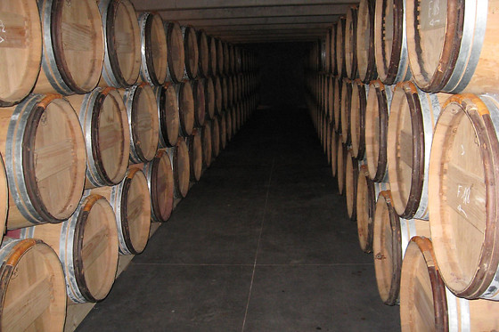 Chateau Vieux Mougnac - photo 4