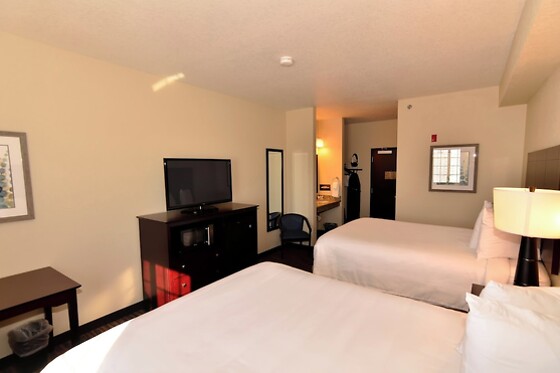 Online Booking EPS - photo 1
