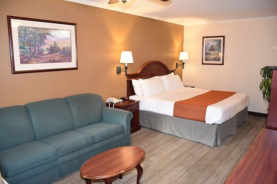Online Booking EPS - photo 1