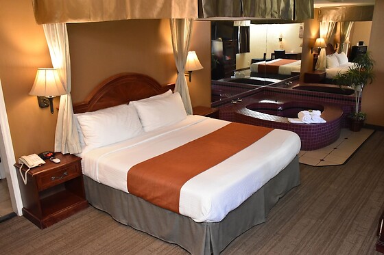 Online Booking EPS - photo 2