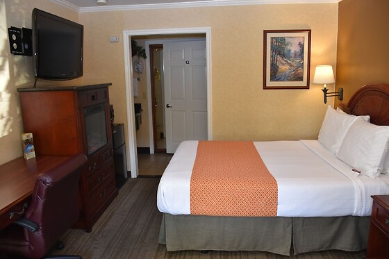 Online Booking EPS - photo 4