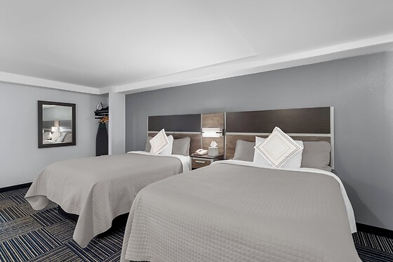 Online Booking EPS - photo 1