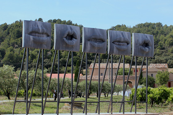 Domaine des Peyre - photo 7