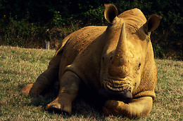 Zoo La Boissière du Doré