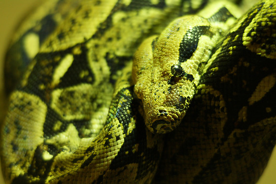 Zoo La Boissière du Doré - photo 4