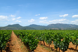 Chateau de Jonquieres