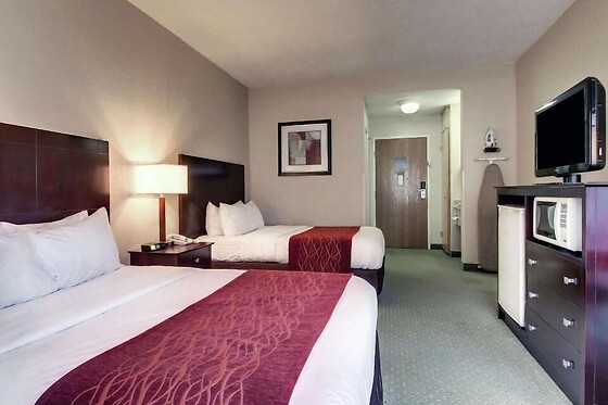 Online Booking EPS - photo 2