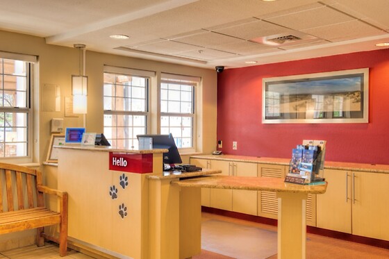 Online Booking EPS - photo 1