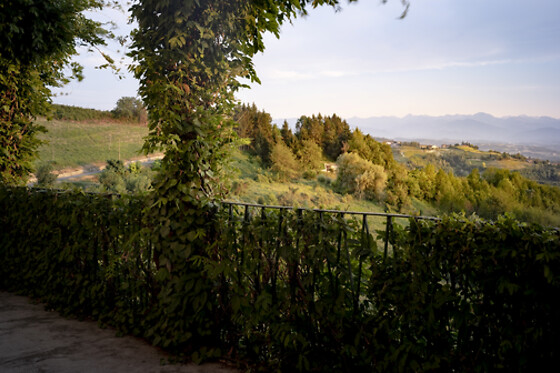 CANTINE LUZI DONADEI FABIANI - photo 3