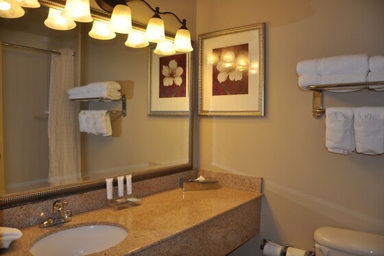 Online Booking EPS - photo 5