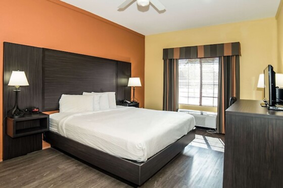 Online Booking EPS - photo 4