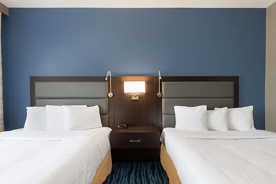 Online Booking EPS - photo 1