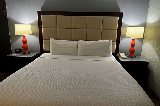 Online Booking EPS - photo 2