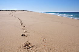 IBERIC FUSION PLATJA