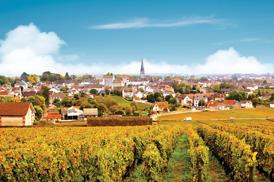 Beaune Velo Tour - photo 5