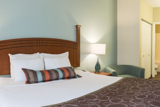 Online Booking EPS - photo 3