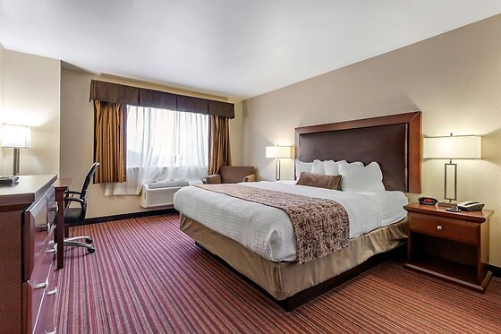 Online Booking EPS - photo 11